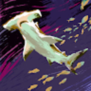 Meet your Posher, Matt